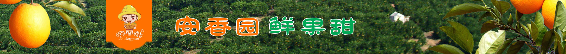 PC首页底部长图