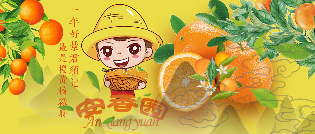 安香园鲜橙即将上市啦！快来一起尝尝鲜~