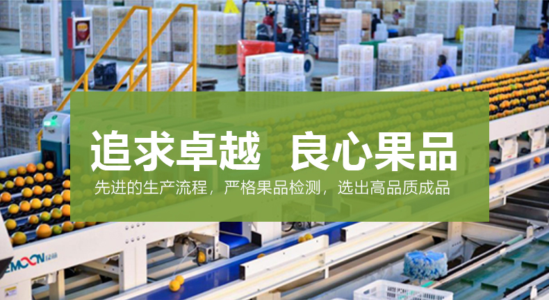 安香园鲜橙：严选品质，只做良心果品！