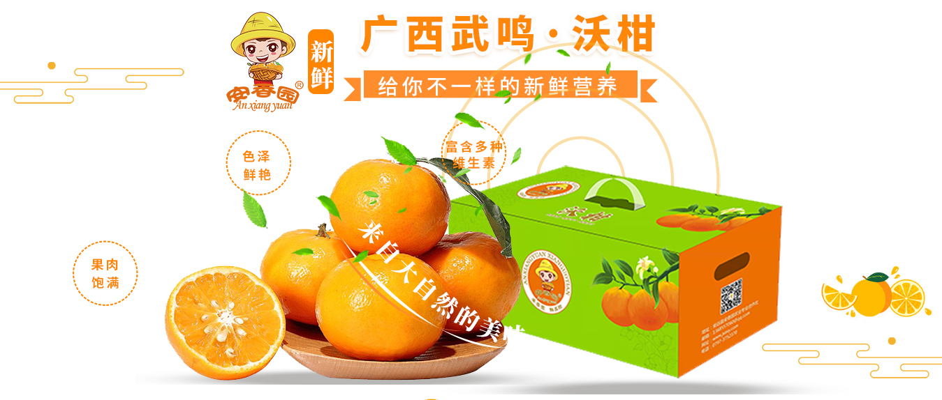 安香园广西武鸣沃柑：来自大自然的美味呈现
